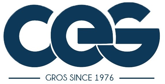 Company 6